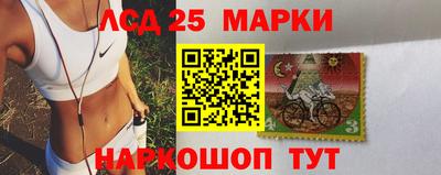 крисы Моздок
