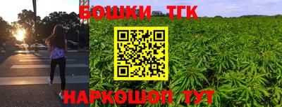 крисы Моздок