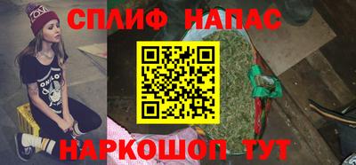крисы Моздок