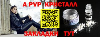 крисы Моздок