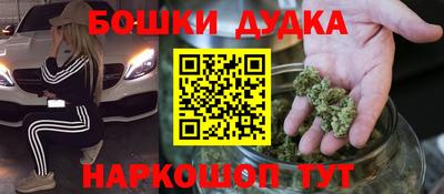 крисы Моздок